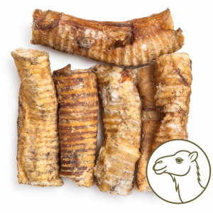 Kameel Luchtpijp 15 cm | 100% Natuurlijke Kauwsnack