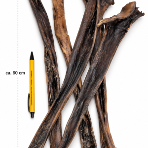Herten Kophuid Staaf 50-70 cm